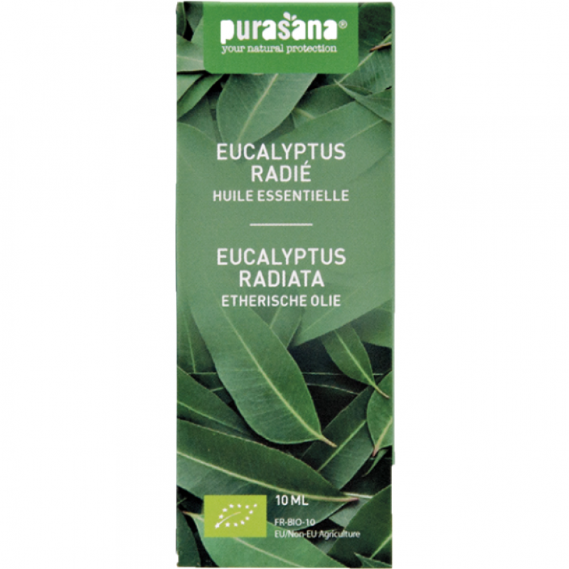 Eucalyptus Radiata 10 ml